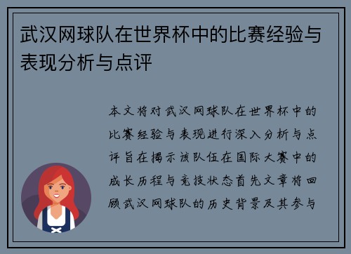 武汉网球队在世界杯中的比赛经验与表现分析与点评